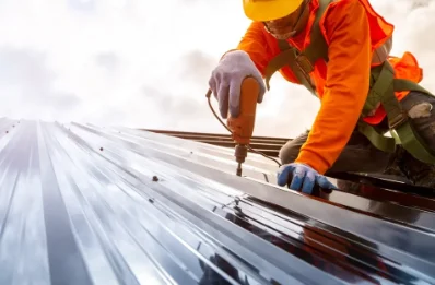 Travaux de zinguerie à Sère